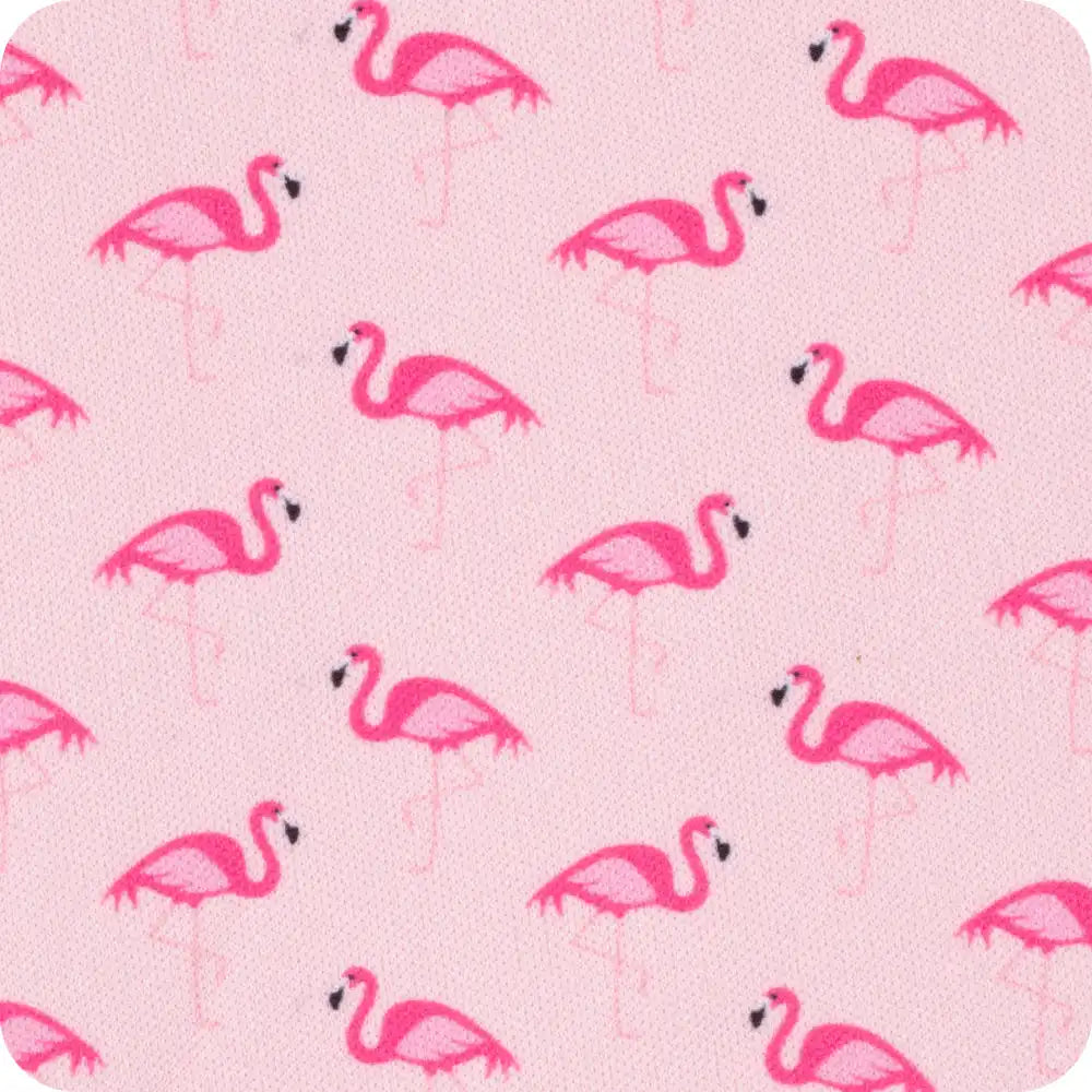 Flamingos Can Coolie