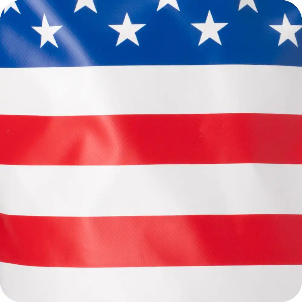 All American Lunchi Lunch Bag